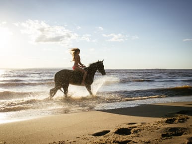 Mustique Equestrian Centre